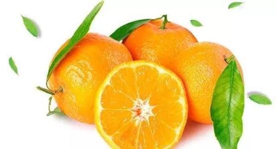 橙子的季节是什么时候啊?