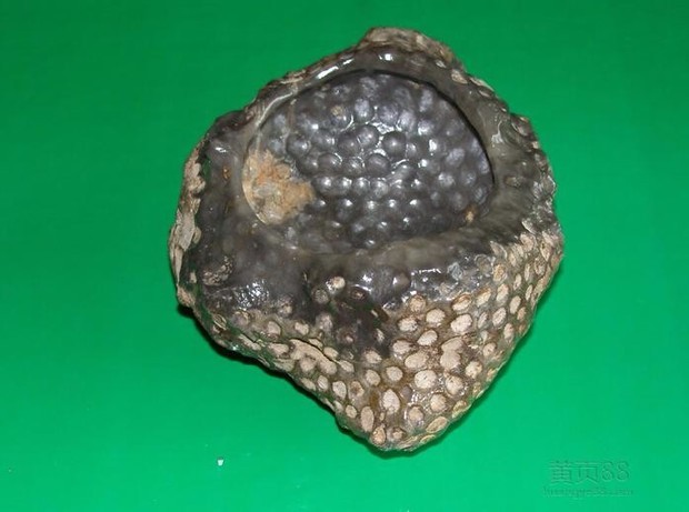 百度知道捡到一块很奇怪的石头,挺重,无磁性,有大神了解吗?