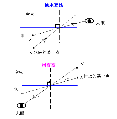 折射使池水变浅的光路图潜水员在水下看岸上的树木变高了的光路图