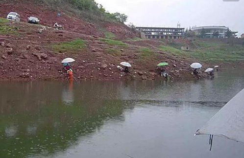 下雨天钓鱼是钓深还是浅,钓底还是钓浮