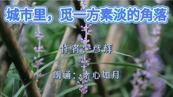 360影视 影视搜索 360影视 影视搜索