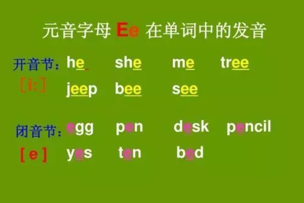 ee有几种发音是哪几种?