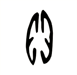 贝--甲骨文是象形字 ,像贝壳的形态.