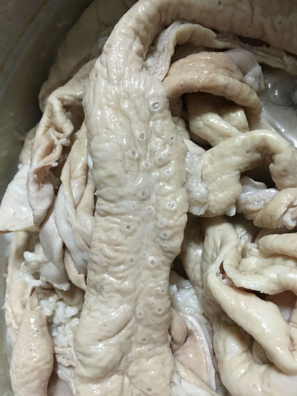 请问这猪大肠上的小眼是怎么回事?有人猜是病变,虫洞.....我个人不觉