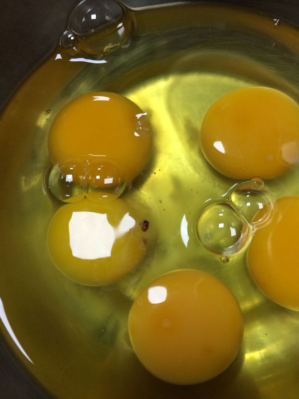 鸡蛋清里的黑点是什么?