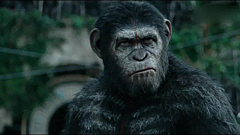 猩球崛起2:凯撒霸气警告人类, 猩猩不想开战如果别无选择,他们死战