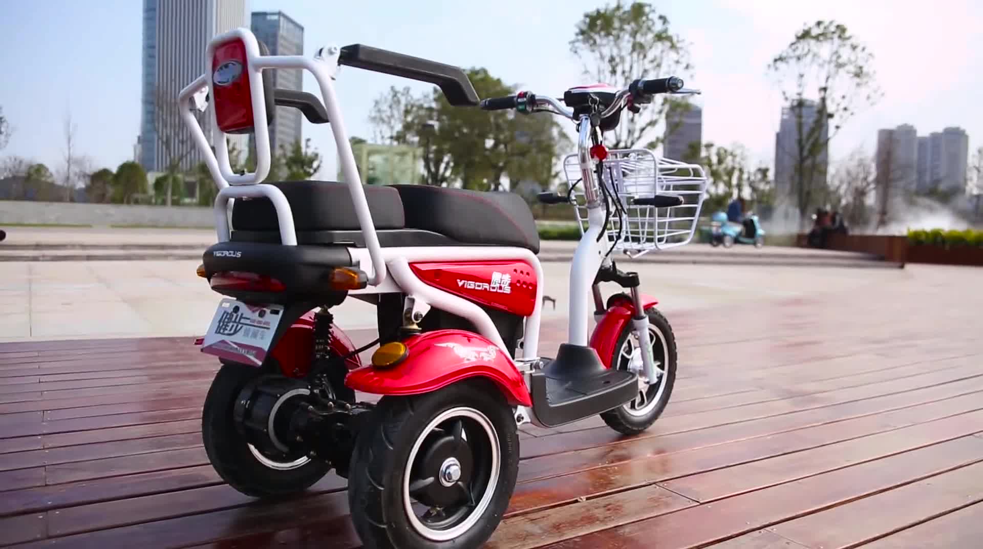 健步( vigorous  健步秋实款电动老年代步车双人电动三轮车代步车残疾