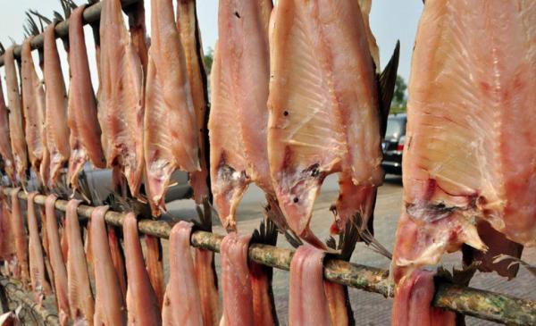 风干后发霉的鱼可以吃吗?