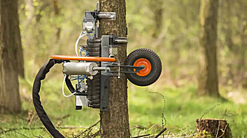 修理树枝的机器很厉害, 作业效率很高