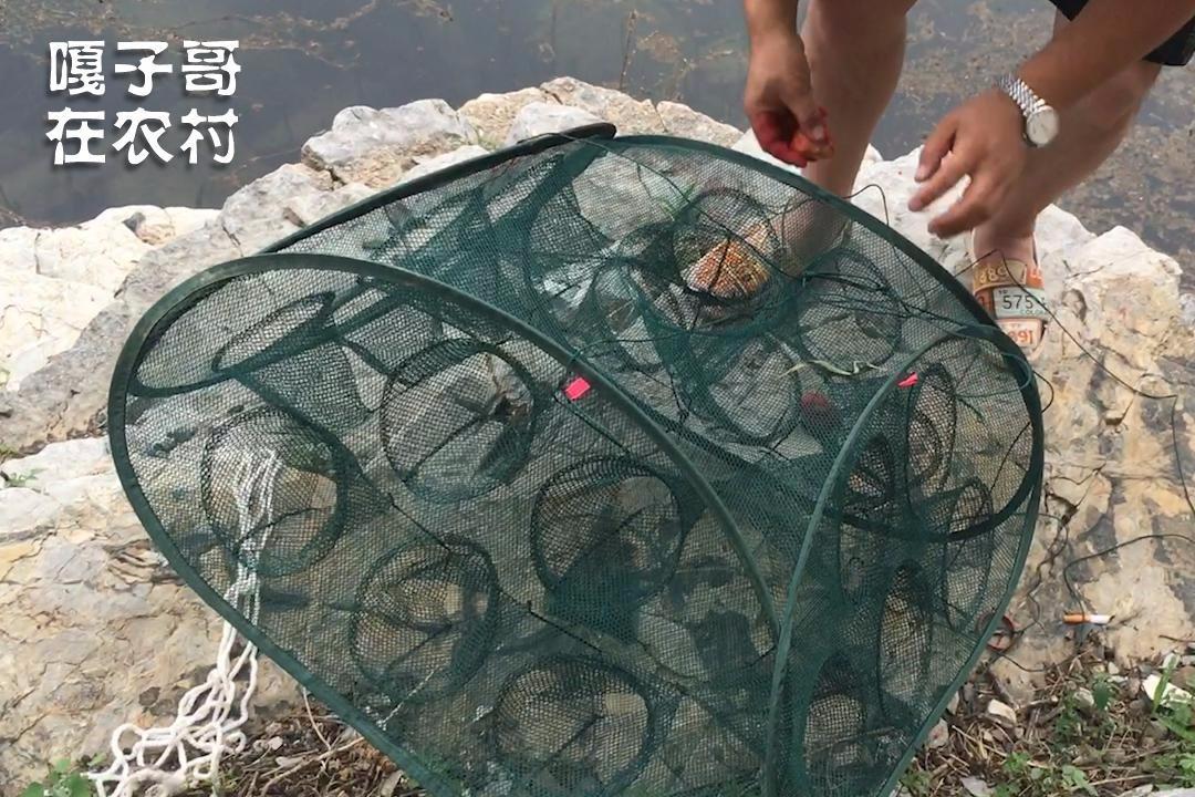 视频:嘎子哥想吃 小河鱼了,带着外甥来到河边下地笼捉 河鱼
