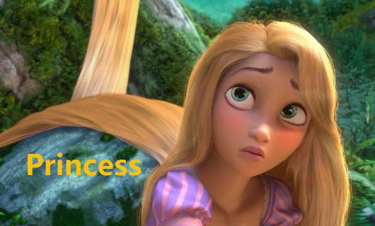 princess是什么意思