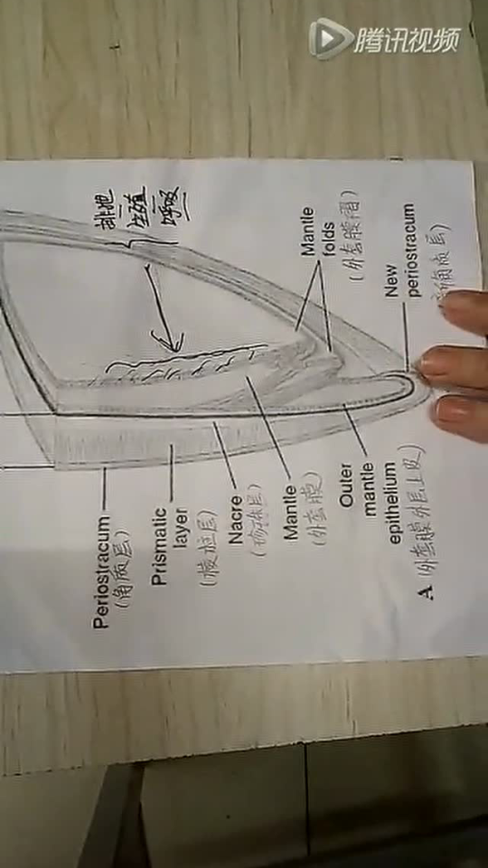 360影视 影视搜索