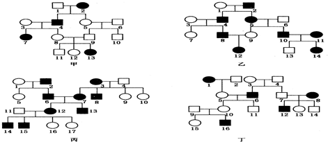 常染色体隐性遗传图谱图片