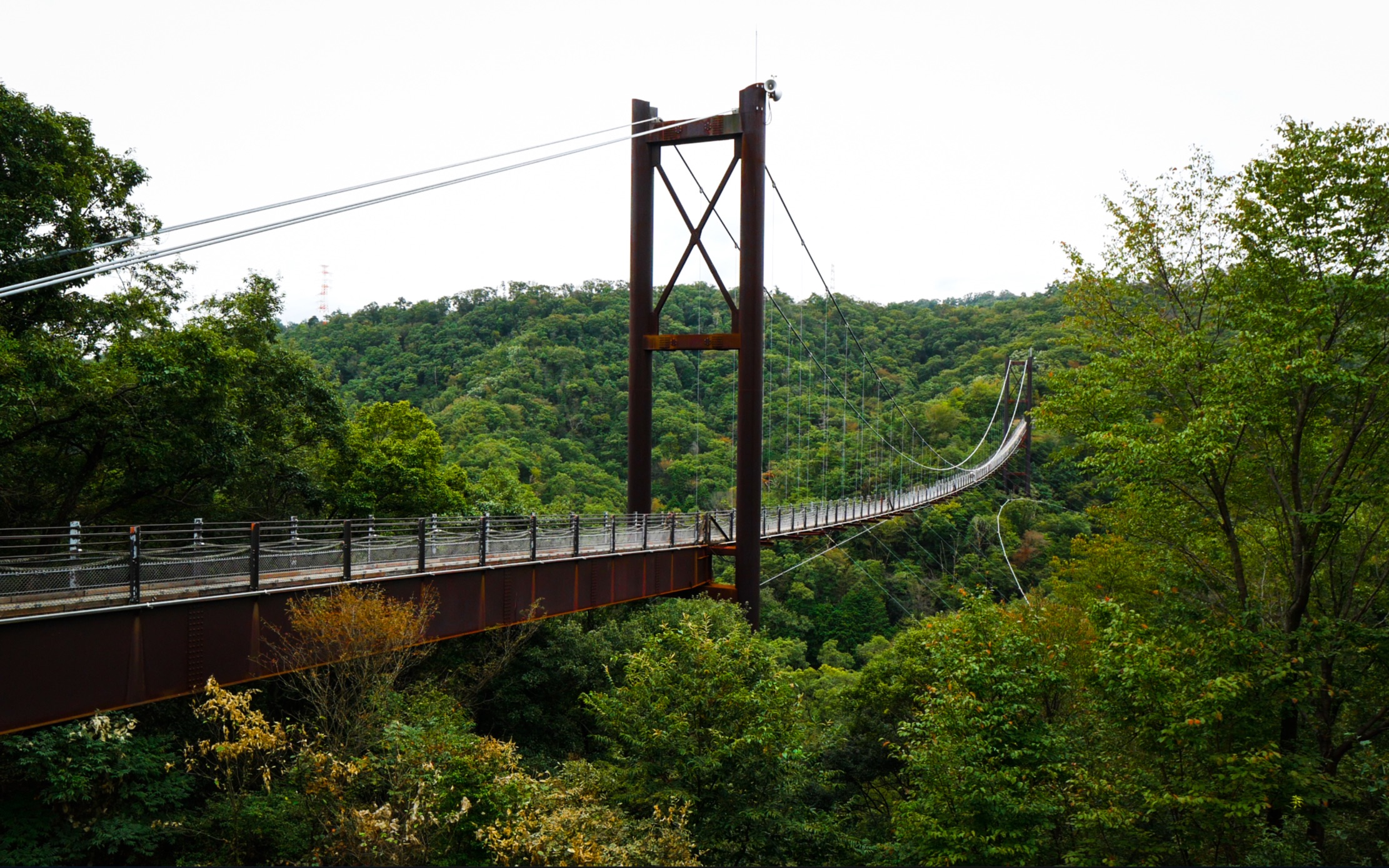 【4k远足视频】大阪府民の森ー日本第六吊桥ー星のブランコ