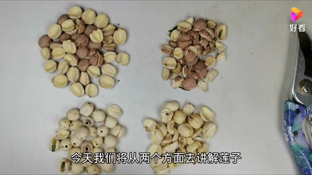 [图]揭秘系列——莲子:都是莲子为什么还分食用和药用