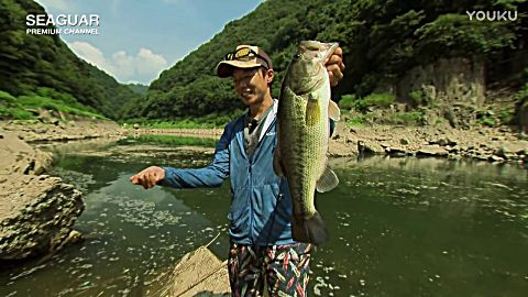 360影视 影视搜索 360影视 影视搜索