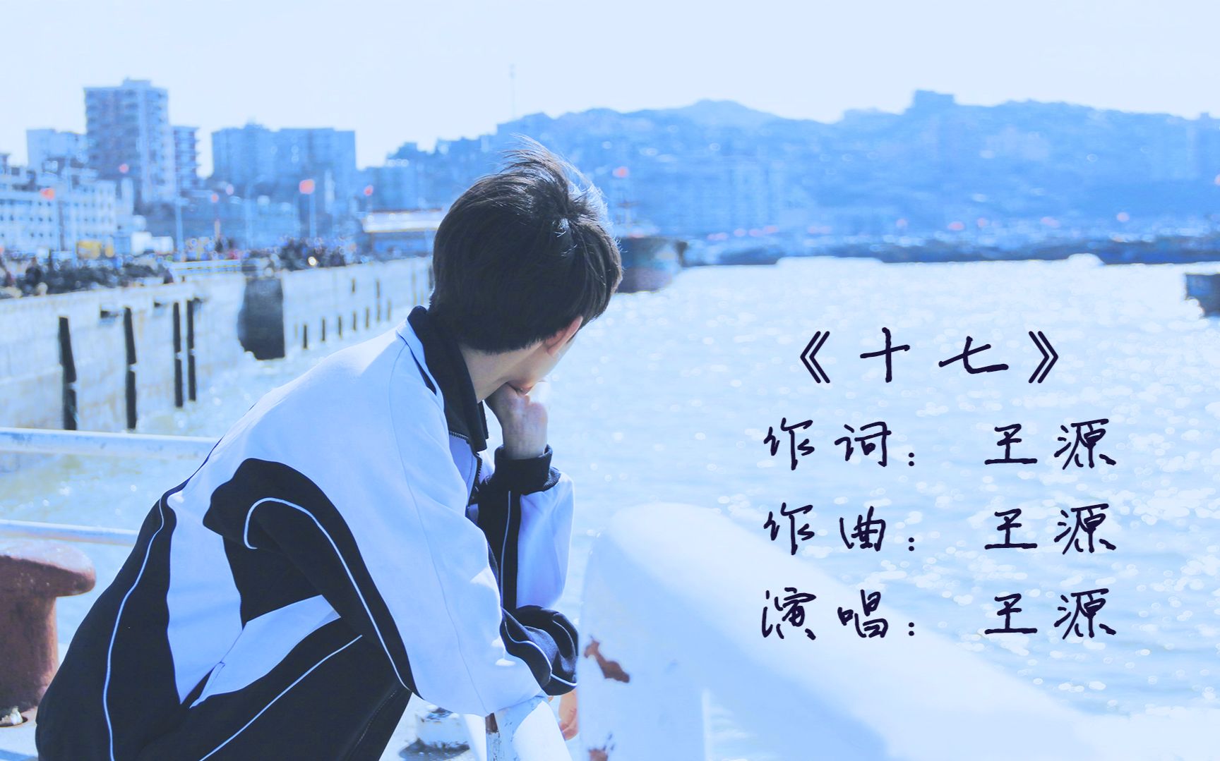 【tfboys王源  roy】全新原创单曲《17》mv歌词版 首发【kar roy凯源