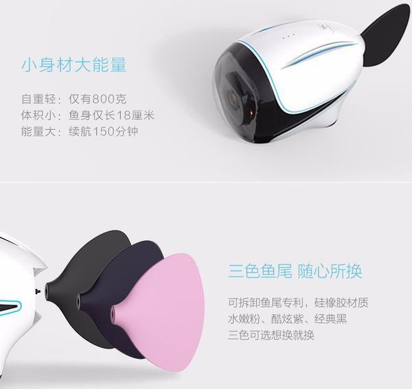 上海哪里拍水下婚纱摄影比较好