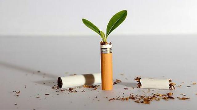 戒烟一年 身体9个阶段的 变化,你值得拥有!