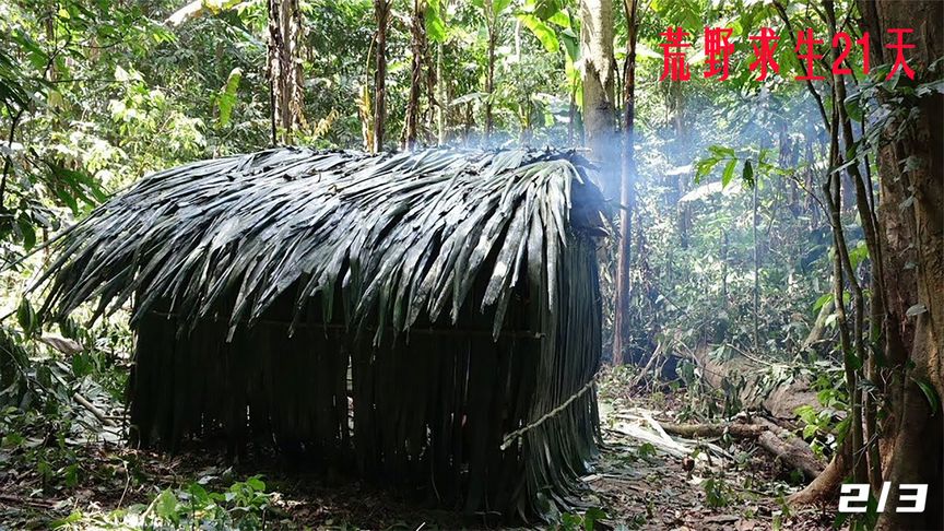 [图]海外荒野求生的另类生存法则