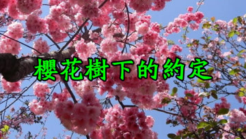 [图]一首《樱花树下的约定》太好听了