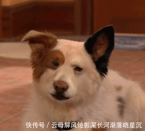 芬兰每周工作时间