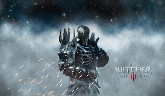 巫师3血与酒天长地久任务完成不了解决方法