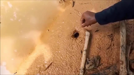 视频:国外小伙河边找洞钓黄鳝,一钓一个准,乐坏了