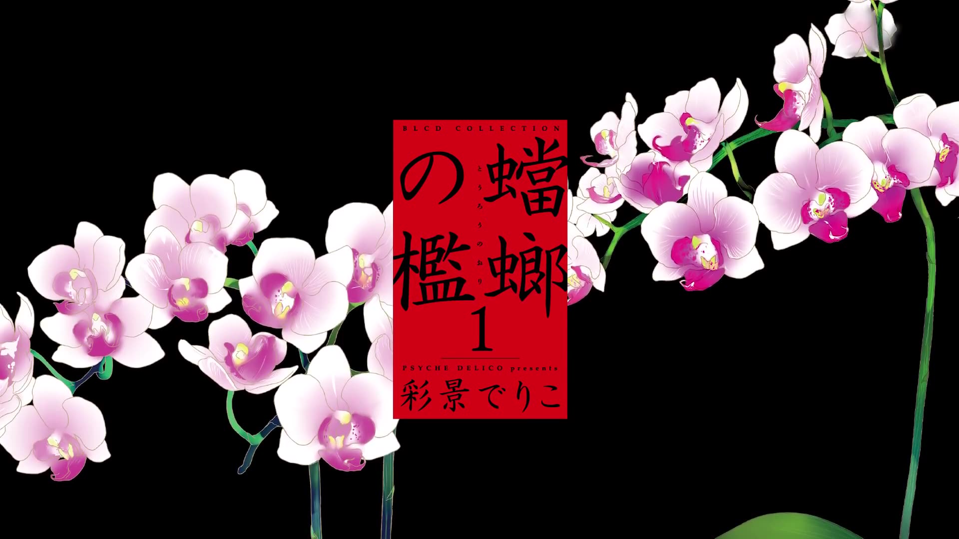 360影视 影视搜索 360影视 影视搜索