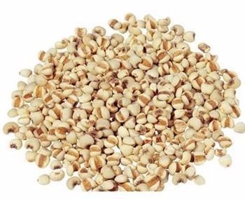 炒熟的薏米仁泡茶能祛湿么