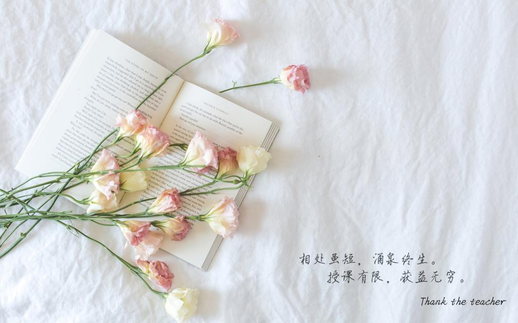 教师节经典语录[图9]