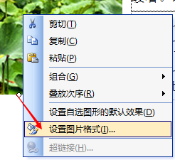 如何用word 自动缩小全部的图片
