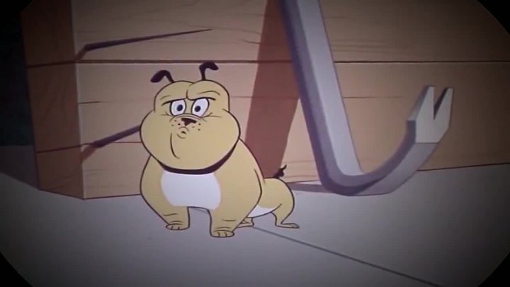  b>猫和老鼠小狗 /b>下手真狠,发起疯来,连自己尾巴都不放过!