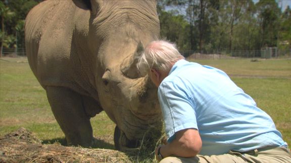 bbc高清 纪录片,豆瓣评分9.1分《 生命的起源--第三集》