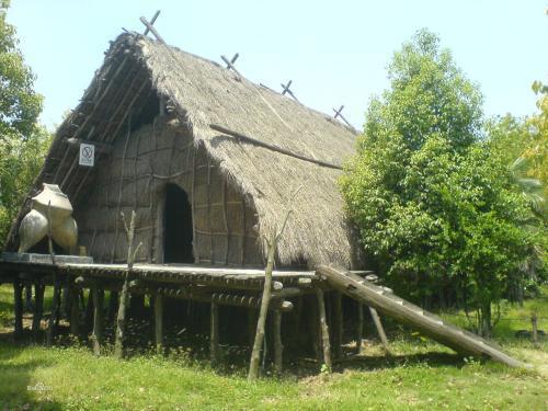 河姆渡人居住的房子叫什么?