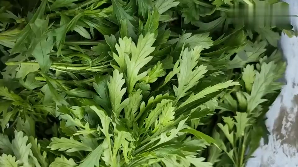 360影视 影视搜索 360影视 影视搜索