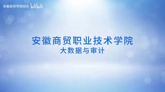 [图]安徽商贸职业技术学院专业介绍——大数据与审计