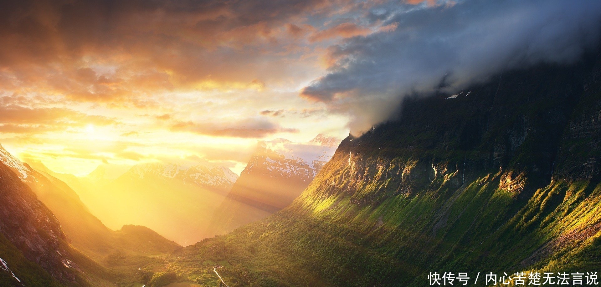 好象爱这个世界