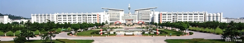 2020美术取消校考的院校