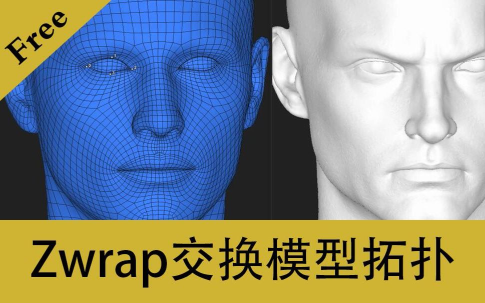 [图]Zwrap交换拓扑