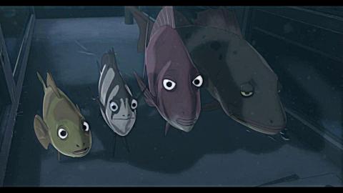 啪嗒啪嗒 《 啪嗒啪嗒》 燕鱼欲逃出水箱 遭老比目鱼怒追赶