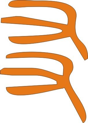 两个鸟爪的象形字是什么汉字