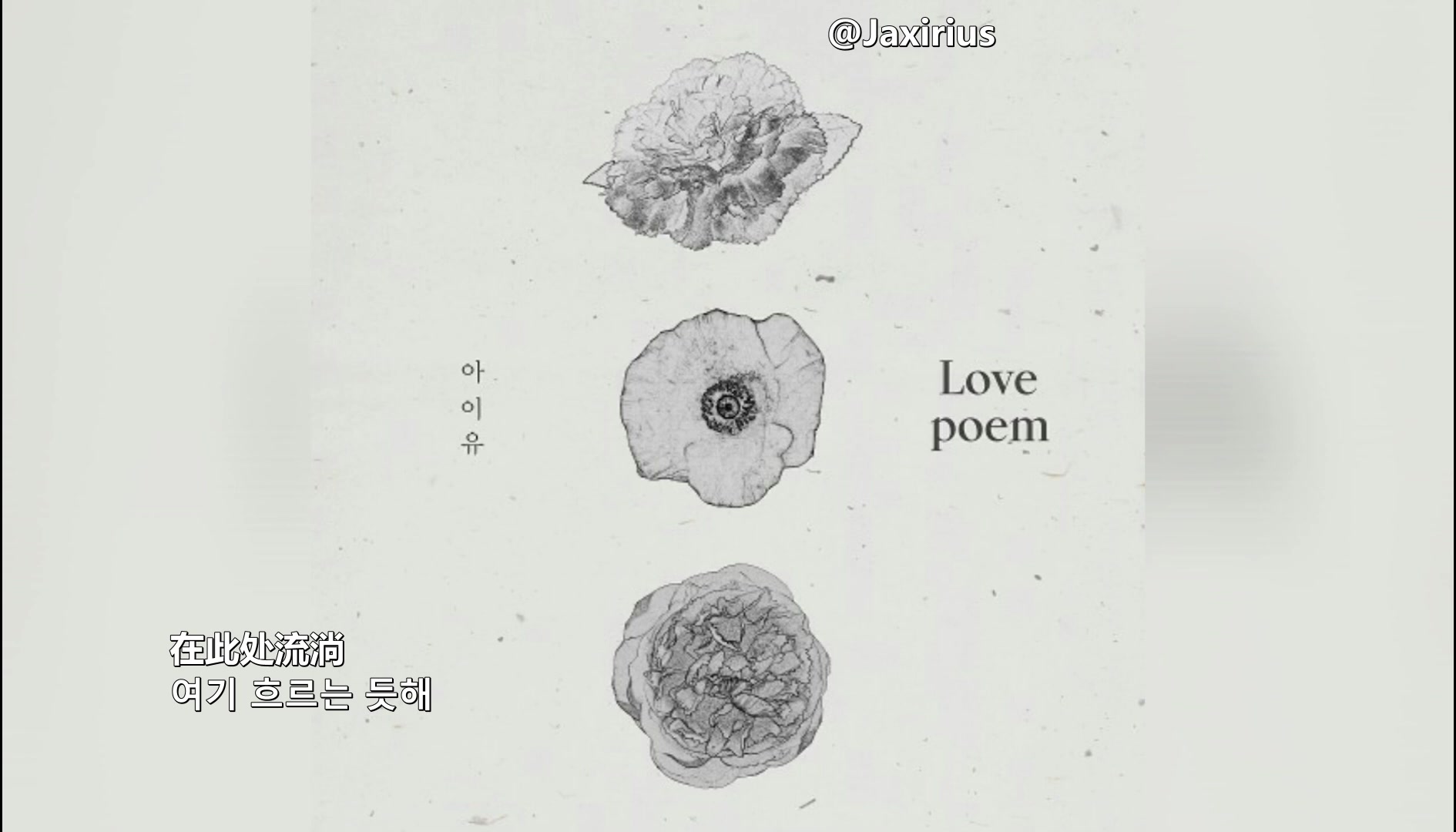 [图]【中韩字幕】IU - Love poem