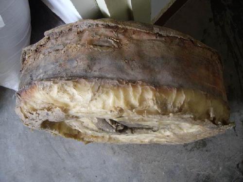 "立地太岁" 是什么意思?