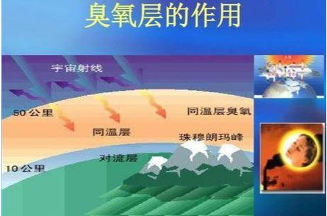 臭氧层能使地球上的生物免遭什么伤害紫外线?