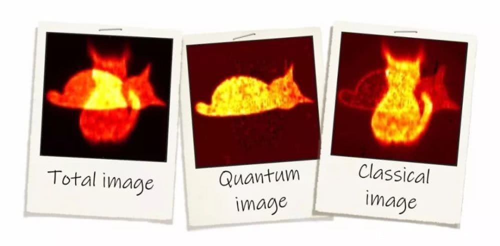 量子观测影响量子