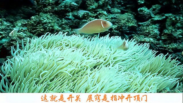 无生老母 龙华真经 真版全文 五