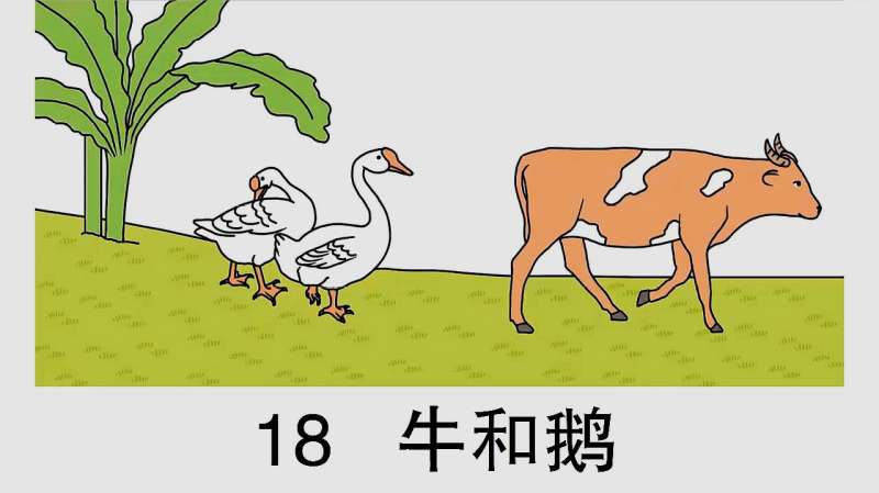 [图]人教部编版四年级上册语文：18.牛和鹅（朗读视频）