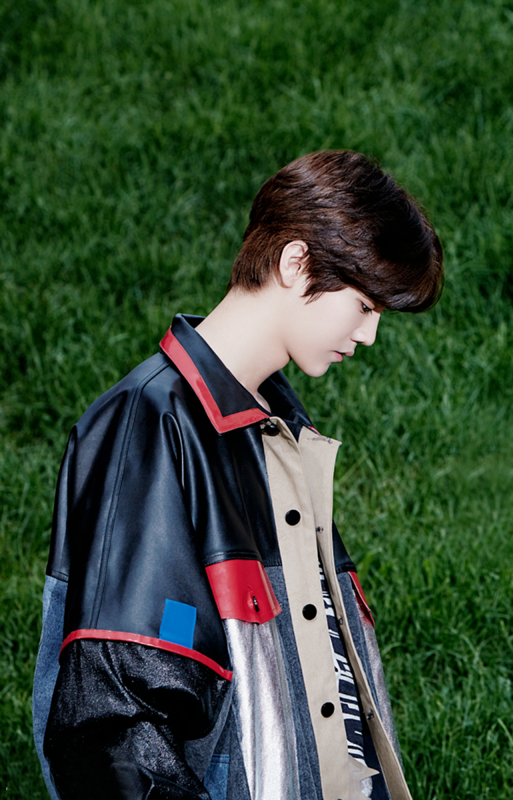 鹿晗的致爱yousong和诺言的歌谱以及鹿晗照片(带字)