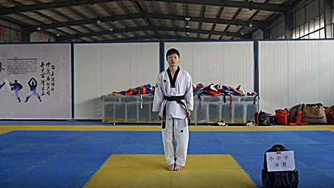 格斗式,跆拳道中的基本动作,与对手格斗的基本姿势